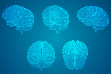 地上道路中的G S X Y Z C D,分别表示什么道-