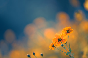 19款宝马还漏机油吗