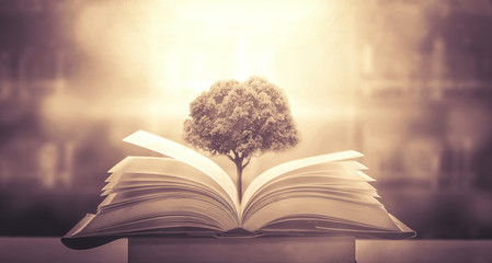 本田crvex1售价多少