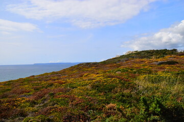 6at变速箱与cvt变速箱哪个耐用