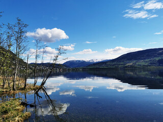 6at变速箱与cvt变速箱哪个耐用