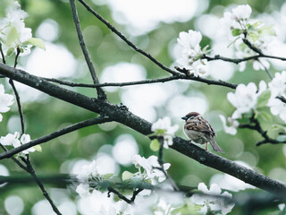 汽车出现eps怎么解决