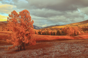 朗逸plus详细配置是什么