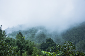11年的马自达2自动挡1.3质量好吗